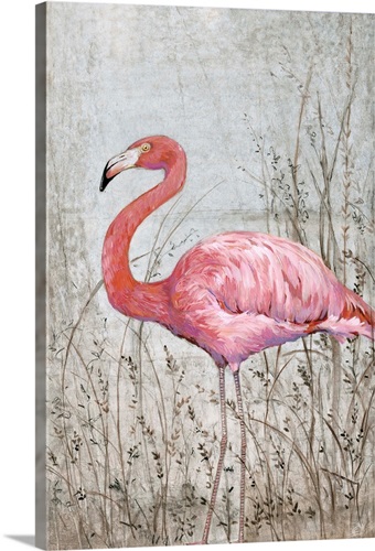 American Flamingo II | Great Big Canvas