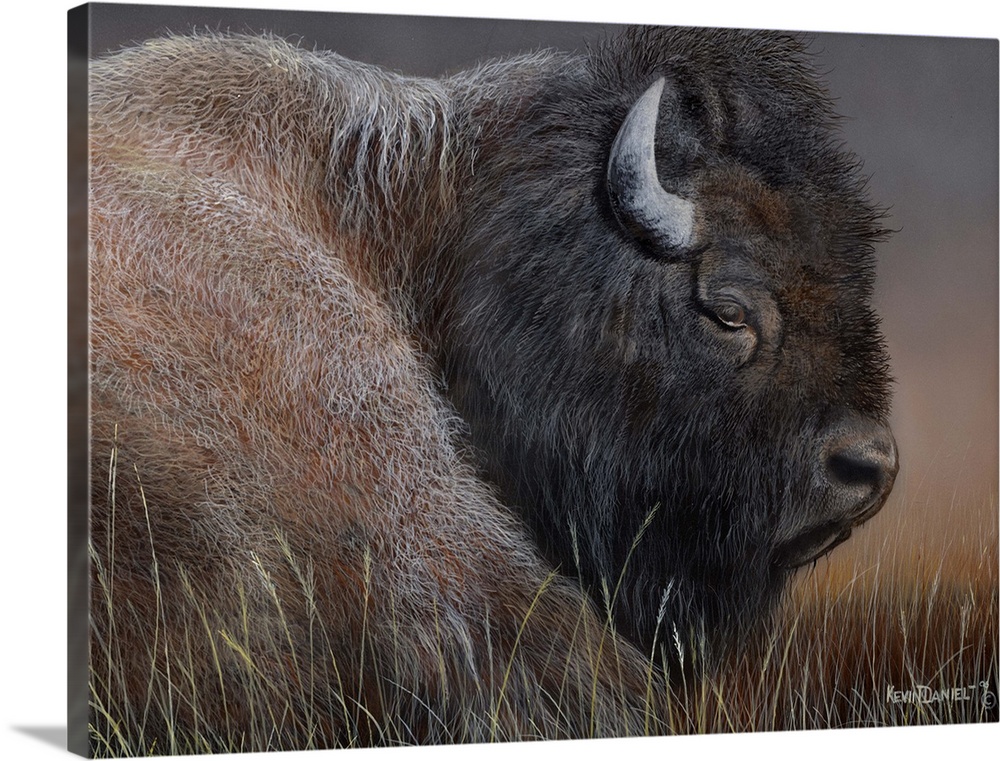 Contemporary painting of an American Bison.