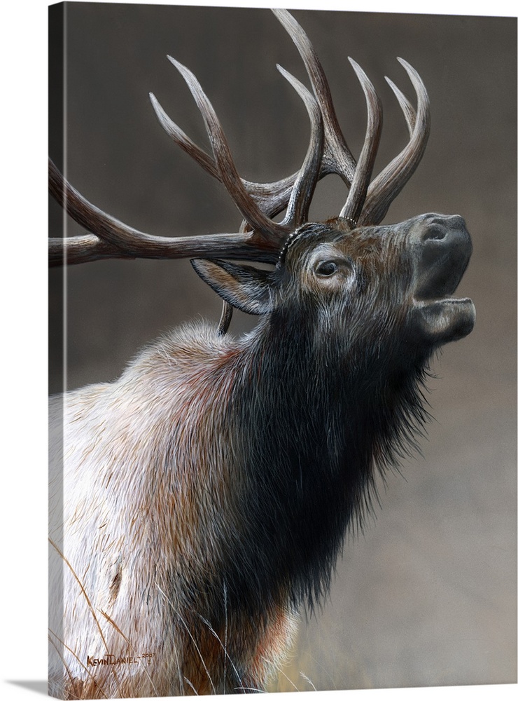 American Icon - Elk