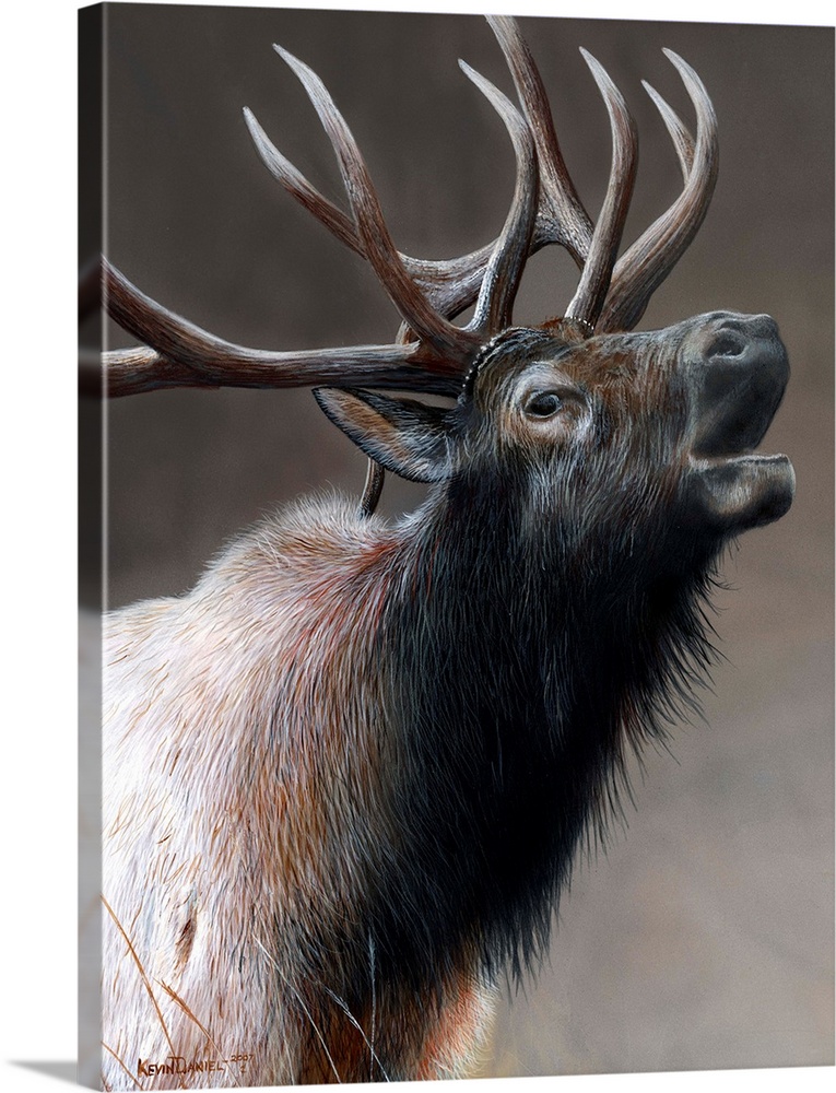 American Icon - Elk