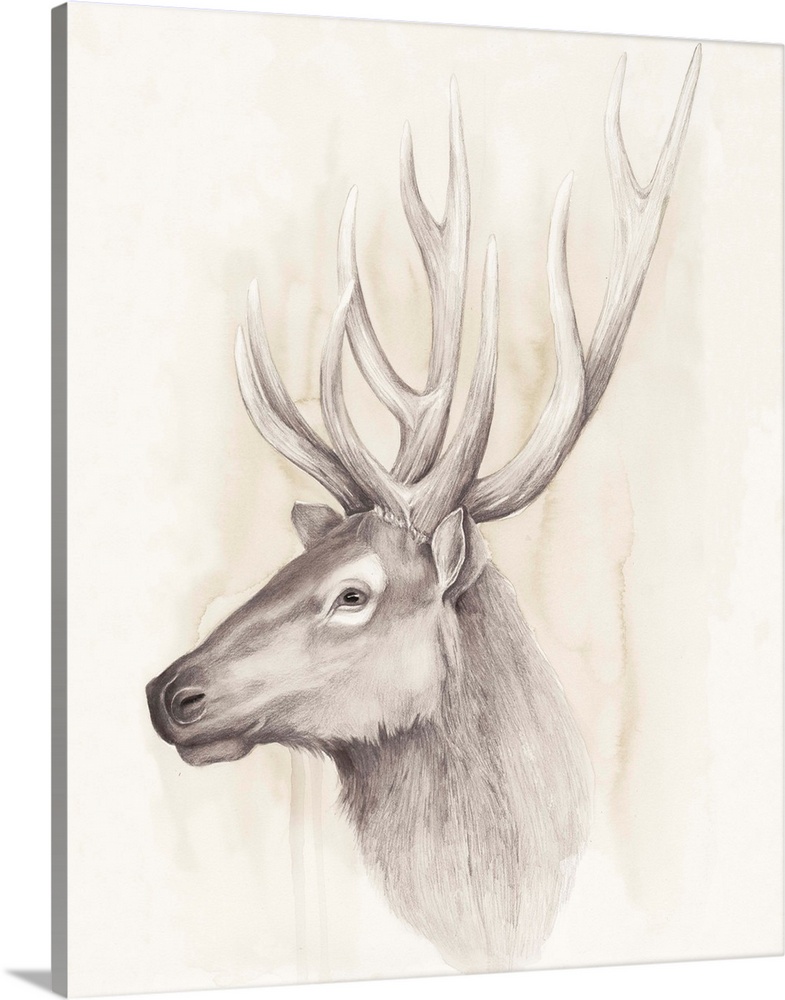 Contemporary illustration of a deer head against a tan background.