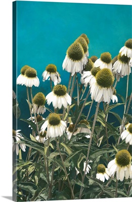 Among The Wildflowers I