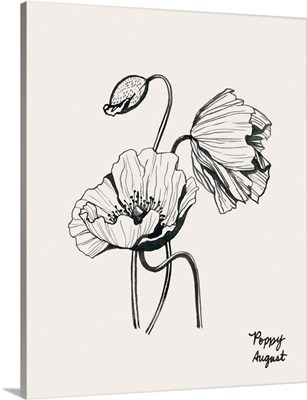 Annual Flowers VIII
