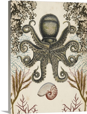 Antiquarian Menagerie - Octopus