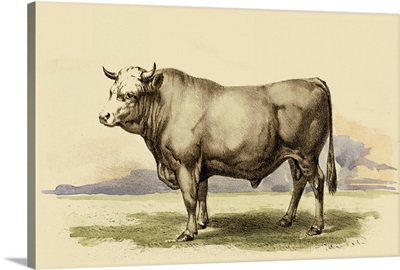 Antique Cow I