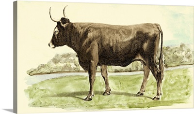 Antique Cow III
