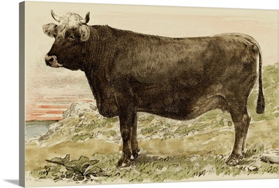Antique Cow V