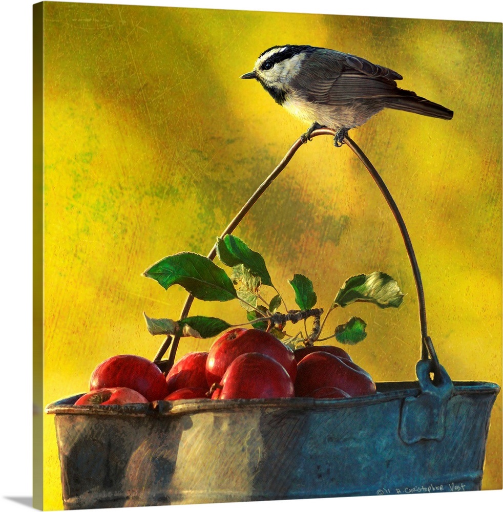 Apples Wall Art, Canvas Prints, Framed Prints, Wall Peels Great Big