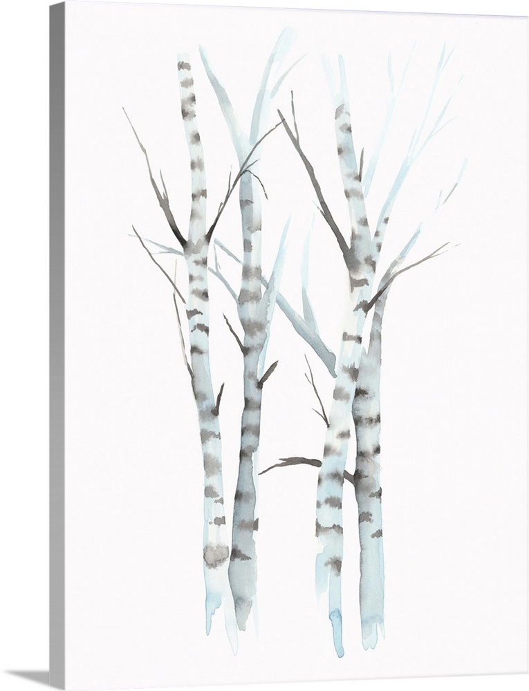 Watercolor painting of white striped birch trees against a white background.