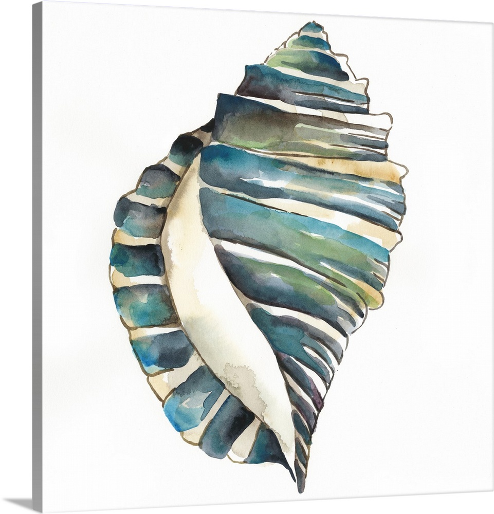 Detailed watercolor painting of a blue spiral seashell.