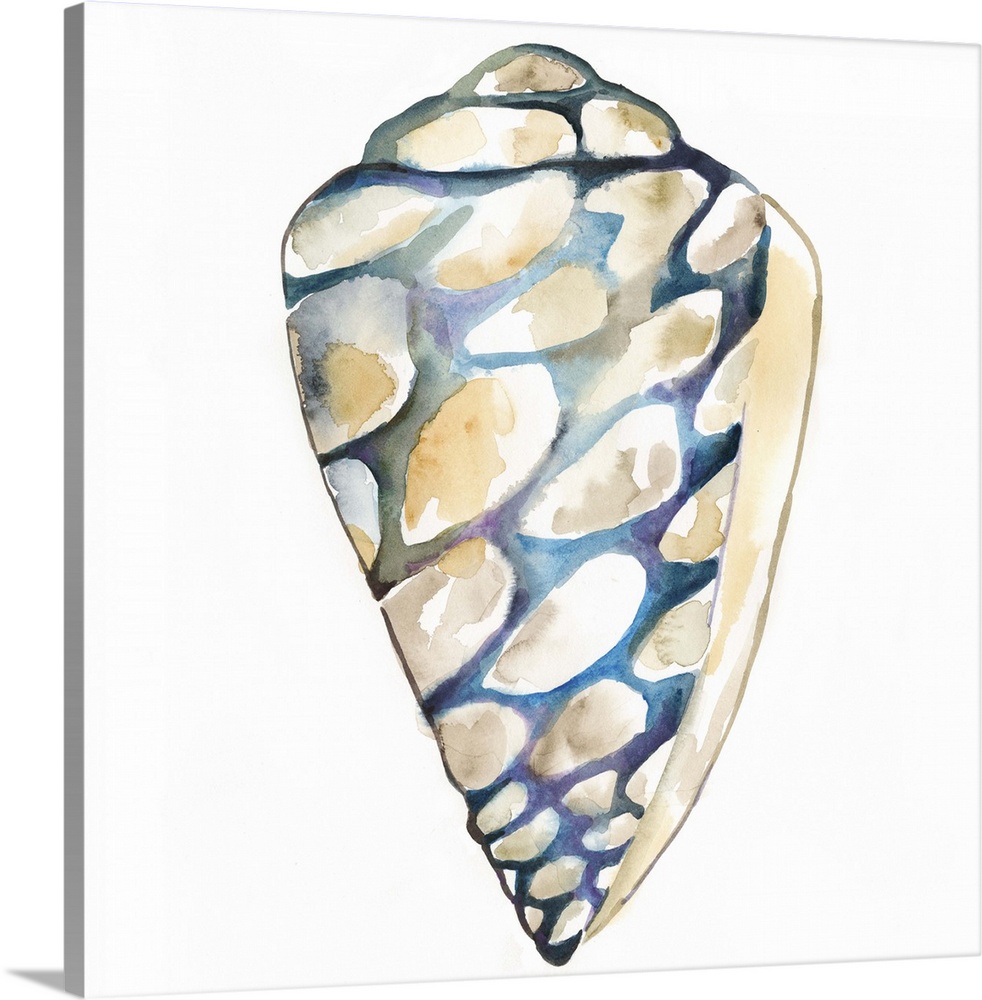 Detailed watercolor painting of a spotted spiral seashell.