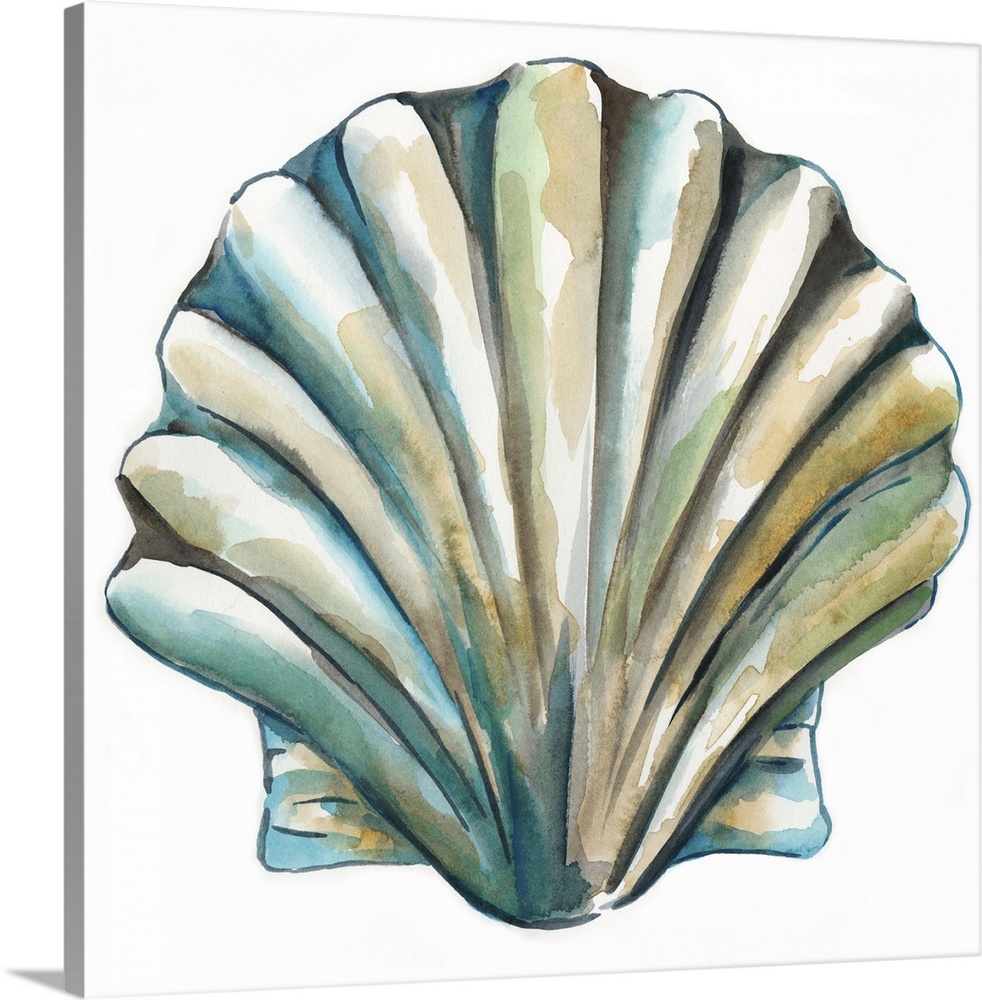 Detailed watercolor painting of a scallop seashell.