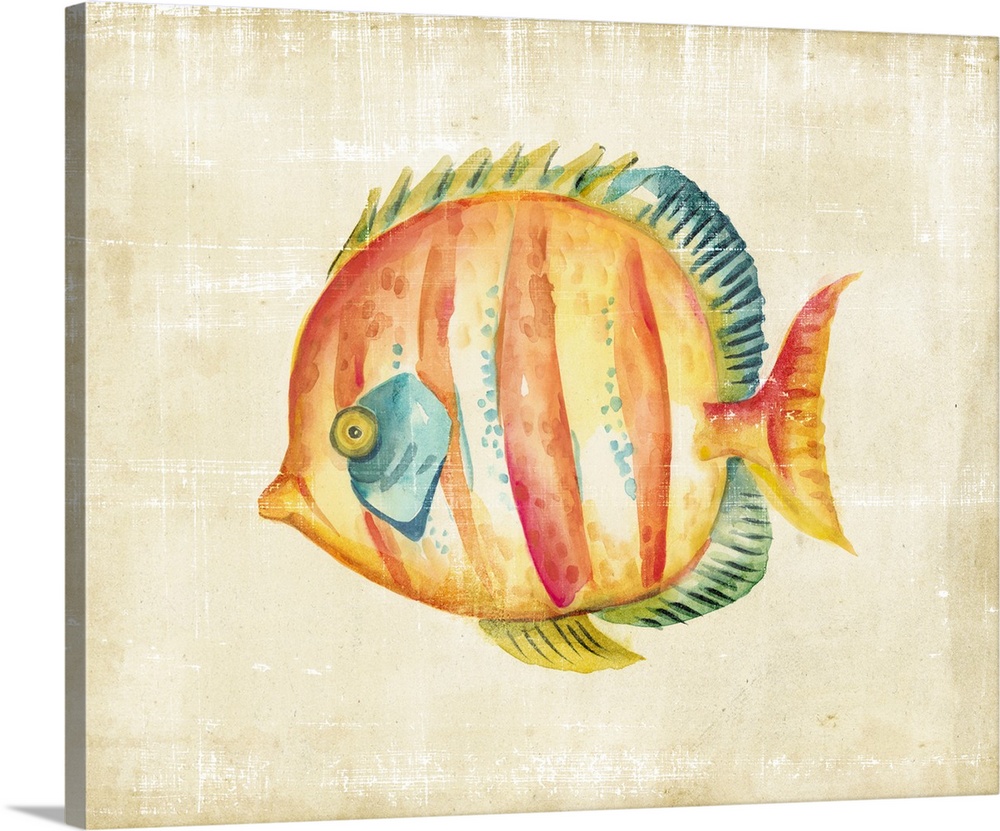 illustration of a brightly patterned tropical fish.