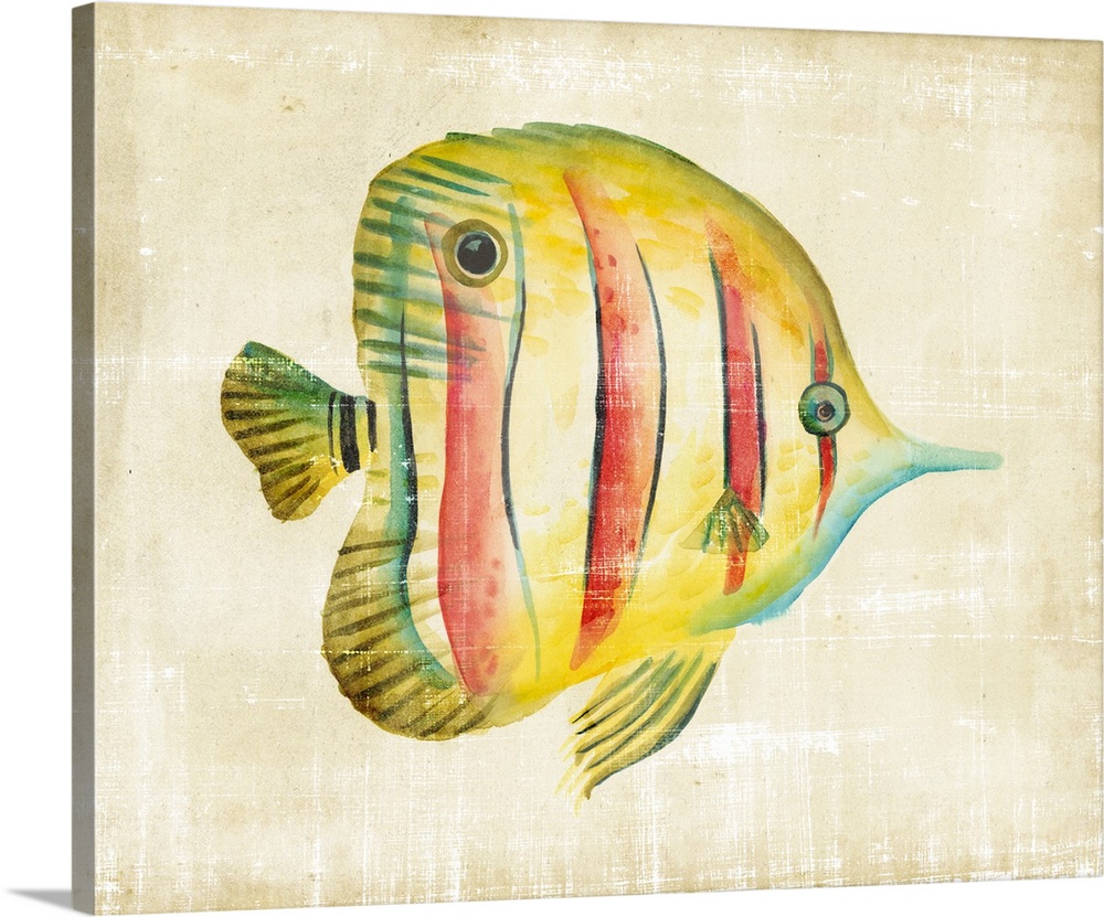 illustration of a brightly patterned tropical fish.