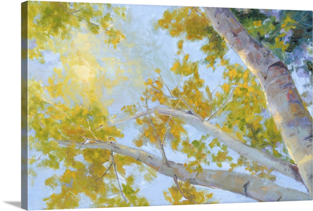 Contemporary artwork of the canopy of an aspen tree with sunlight filtering through the leaves.