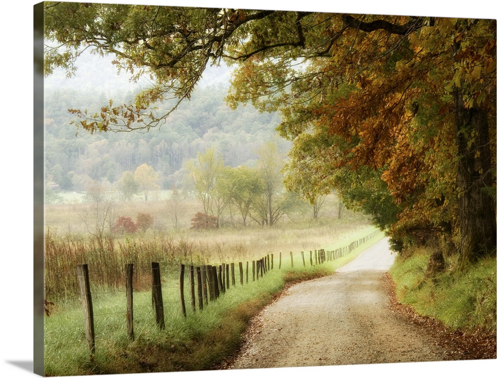 Autumn On A Country Road,2121298 