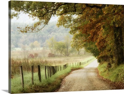 Autumn on a Country Road