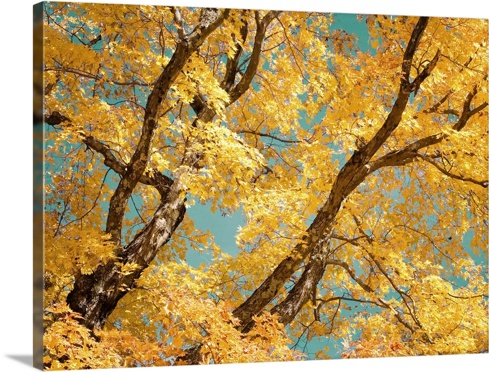 Autumn tapestry hot sale