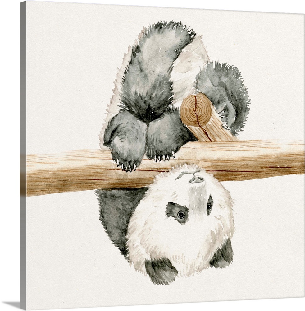 Watercolor artwork of a cute baby panda hanging from a branch.