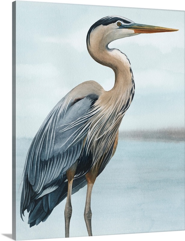 Back Bay Heron I | Great Big Canvas