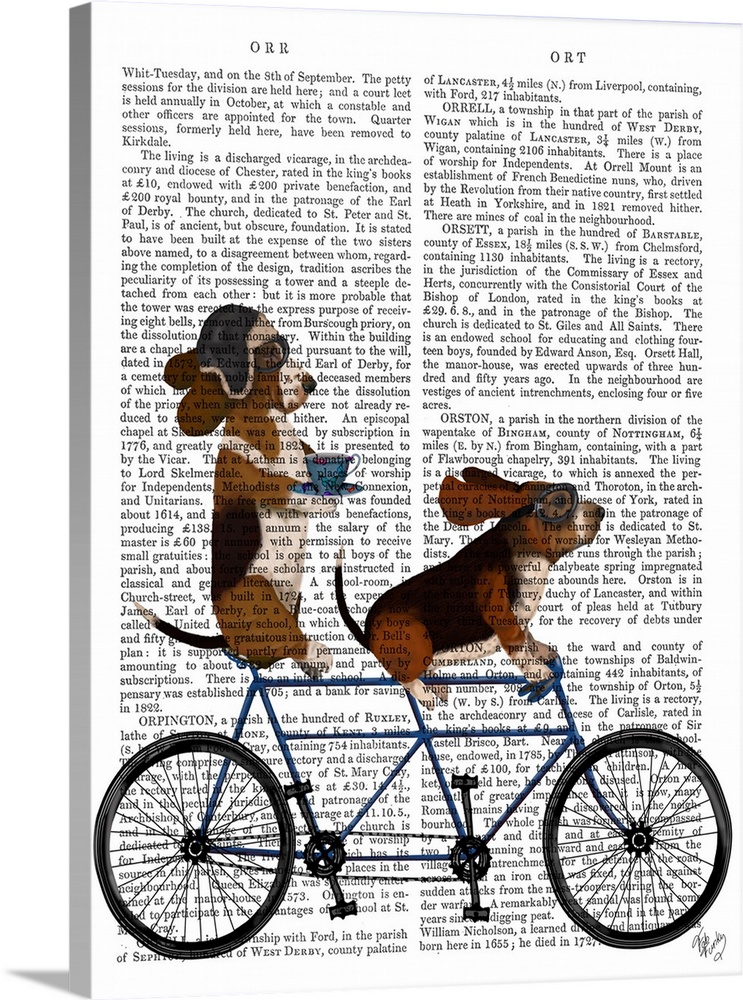 Decorative artwork of two Basset Hounds riding a tandem bicycle, painted on the page of a book.