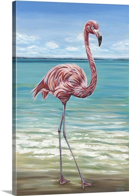 Beach Walker Flamingo I