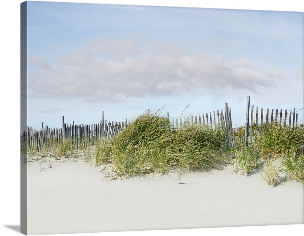 Photograph of a relaxing beachscape with the wind blowing.