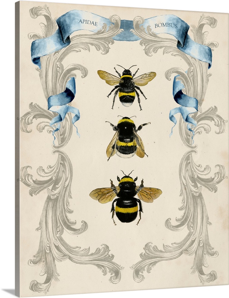 Vintage illustration of three bees framed with blue ribbons and floral embellishments.
