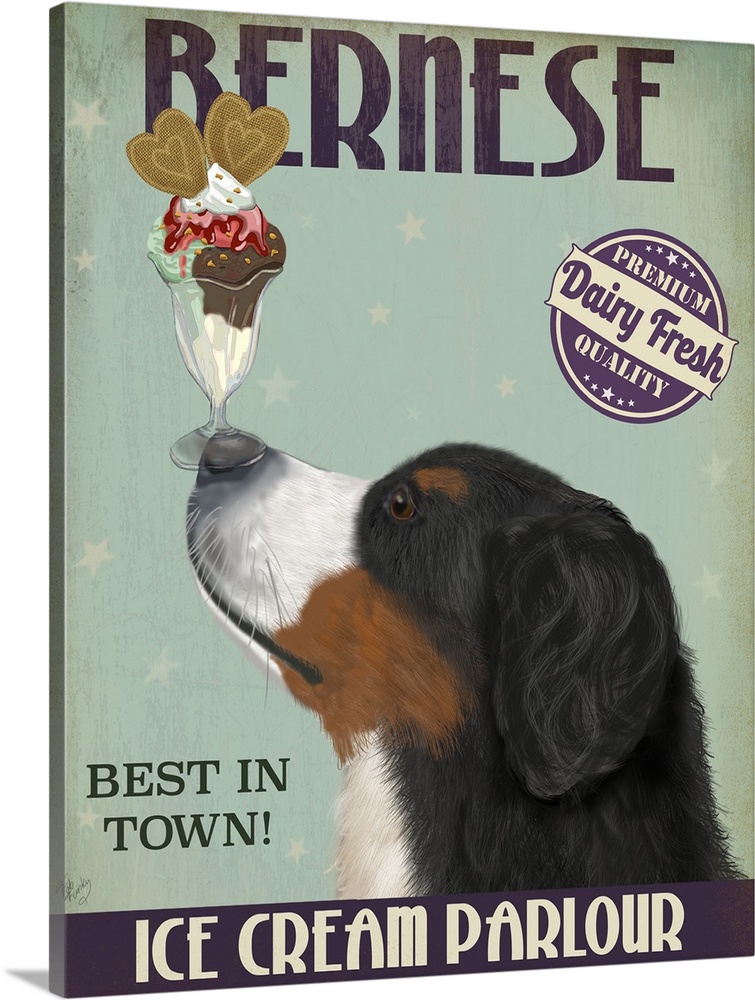 Decorative artwork of a Bernese Mountain dog balancing an ice cream sundae on its nose in an advertisement for an ice crea...
