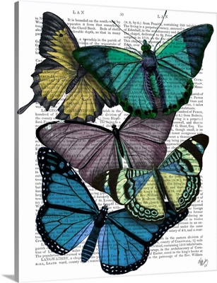 Big Bold Butterflies IV
