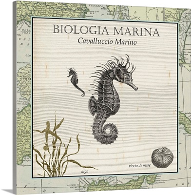 Biologia Marina III