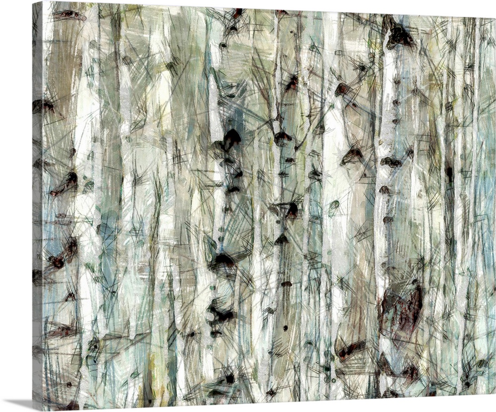 Birch Bunch II