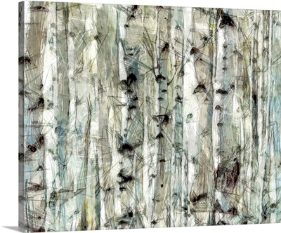 Birch Bunch II