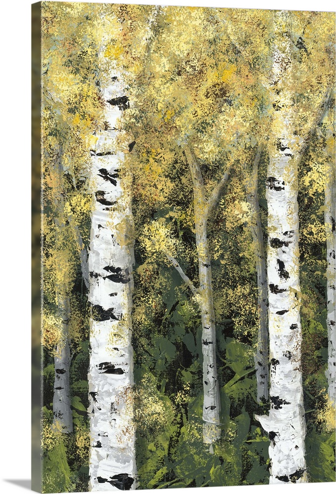 Contemporary painting of a forest of birch trees with golden leaves.