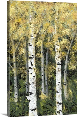 Birch Treeline II