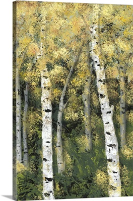 Birch Treeline III