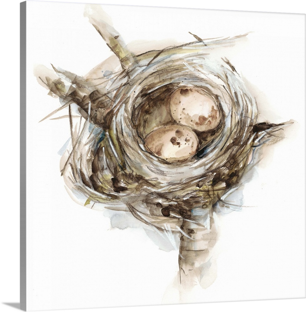 Watercolor painting of a bird's nest with two small pink eggs.