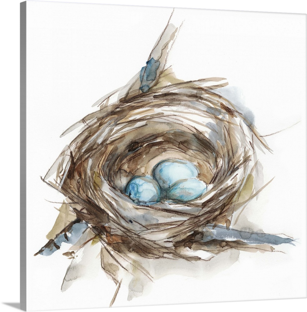 Watercolor painting of a bird's nest with three small blue eggs.