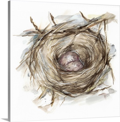 Bird Nest Study IV