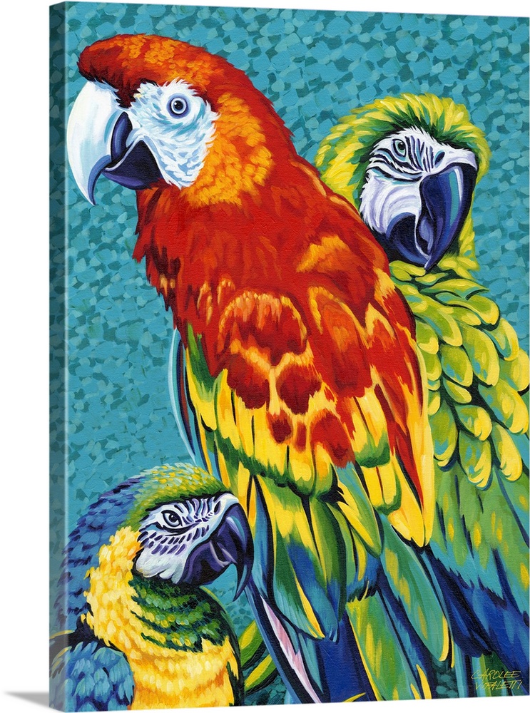 Painting of three colorful macaw parrots, including a Scarlet, Blue and Gold, and Catalina Macaw.
