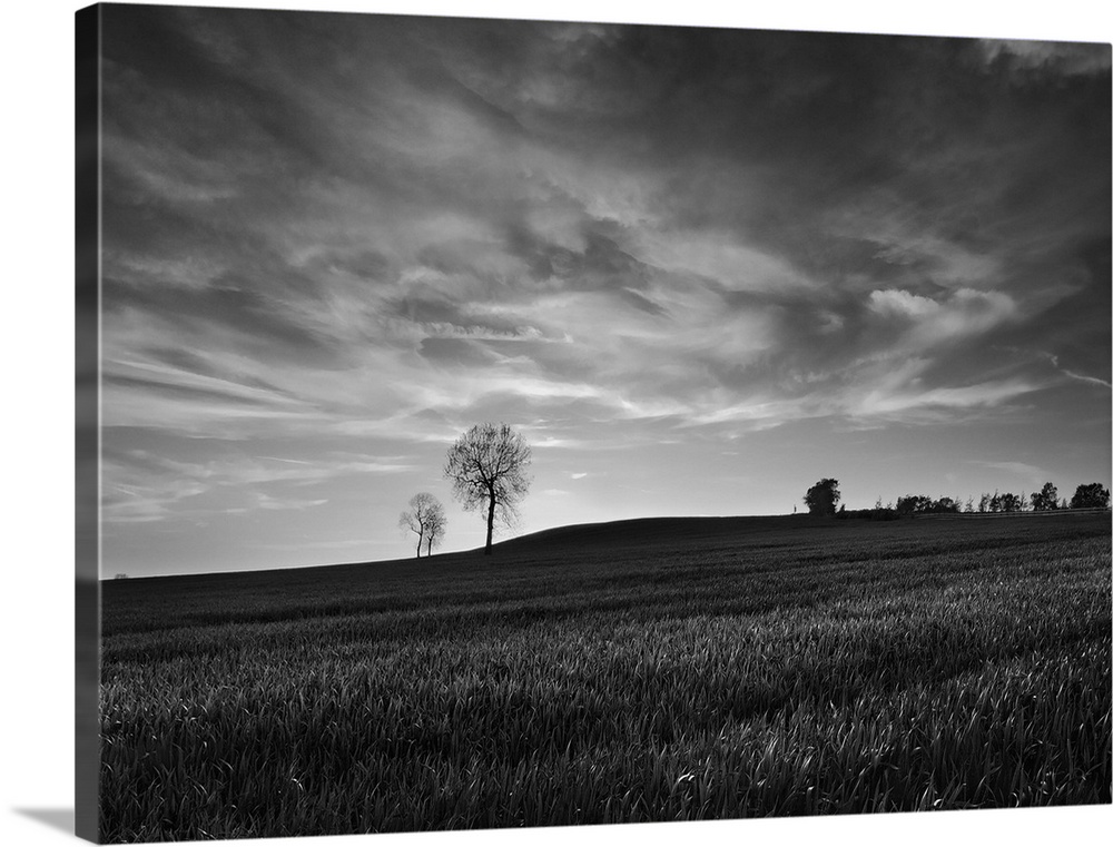 A black and white photograph of a near empty field under a cloudy sky.