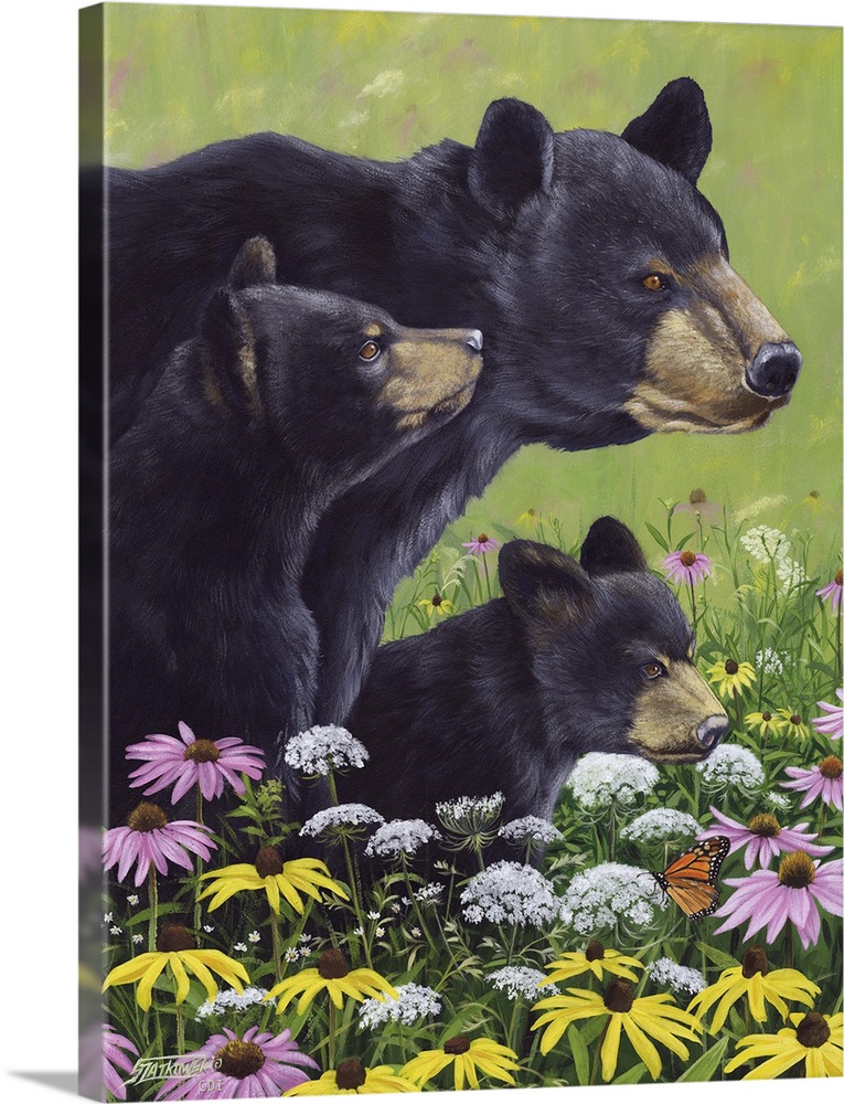 Contemporary wildlife painting of a mother black bear and her two cubs in a field of wildflowers.