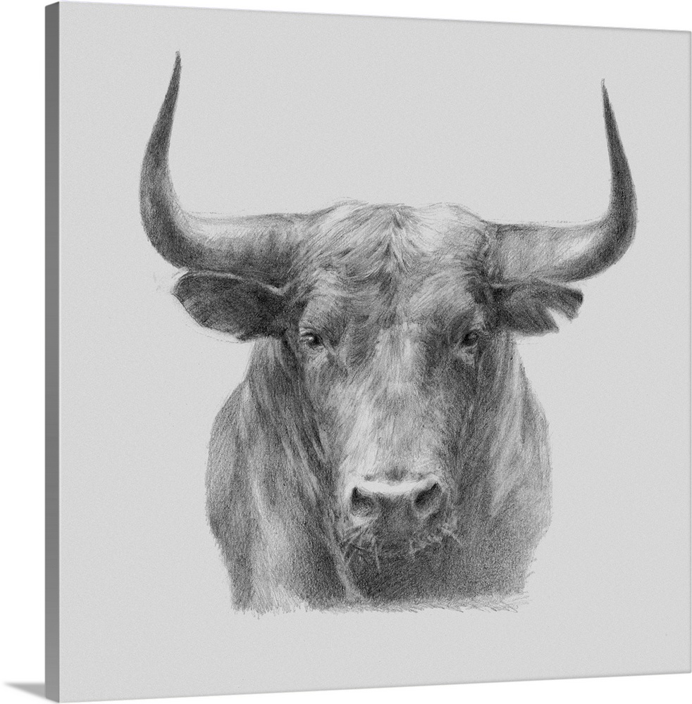 A gray pencil sketch of a black bull.