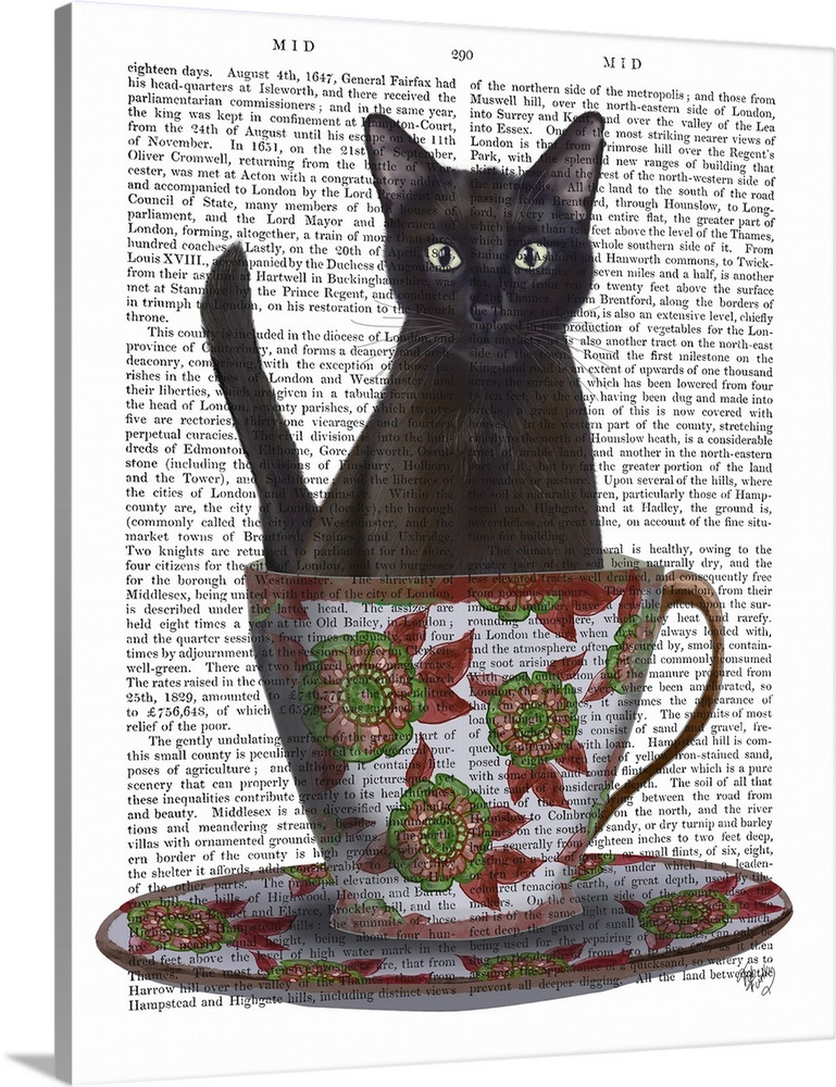 Black Cat in Teacup