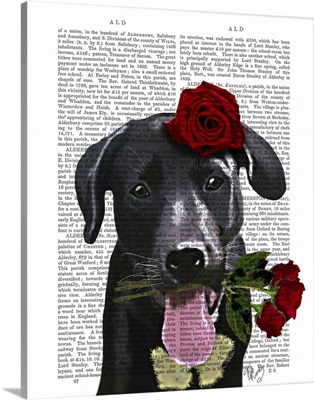Black Labrador with Roses