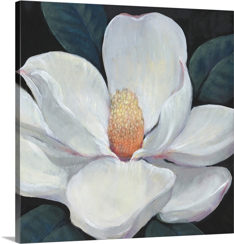 Blooming Magnolia I | Great Big Canvas