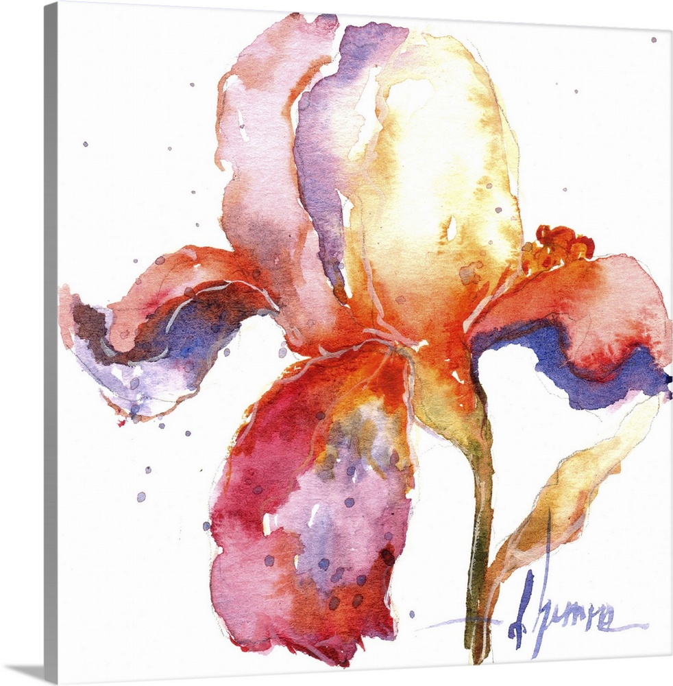 Contemporary watercolor painting of an abstract floral against a white background.
