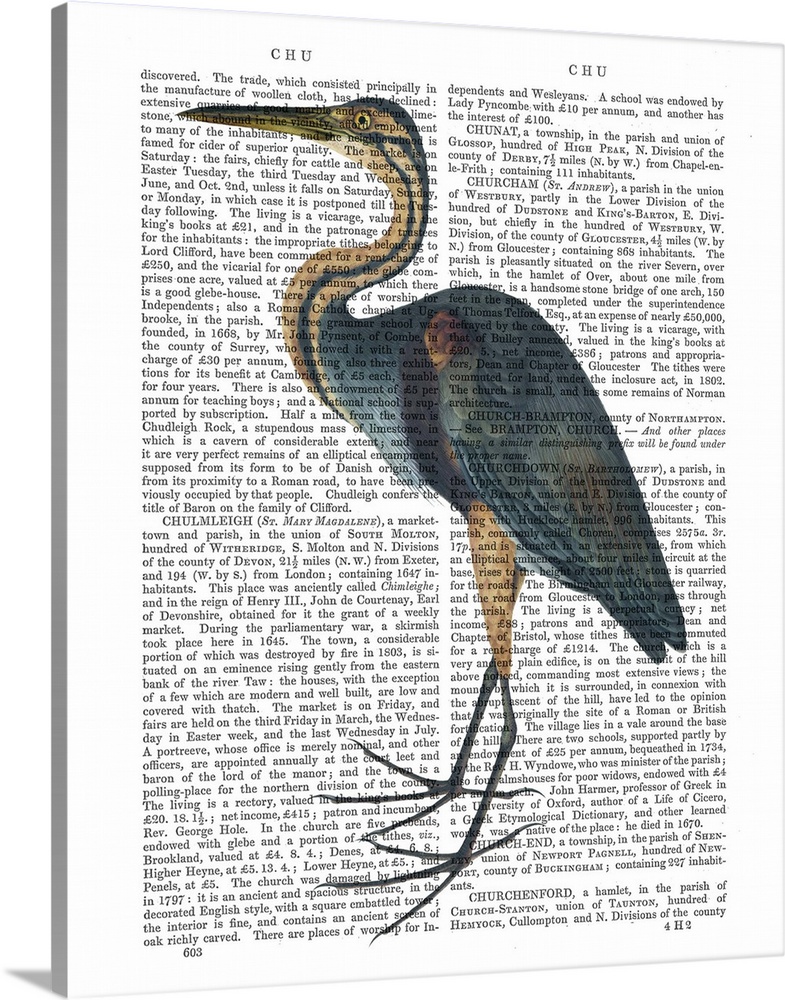 A heron painted over a vintage dictionary page.