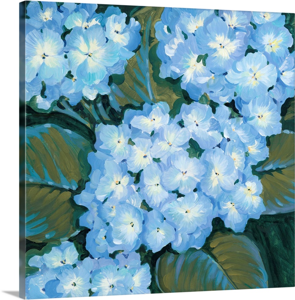 Painting of blue hydrangea flowers close-up.