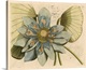 image thumbnail of Blue Lotus Flower I